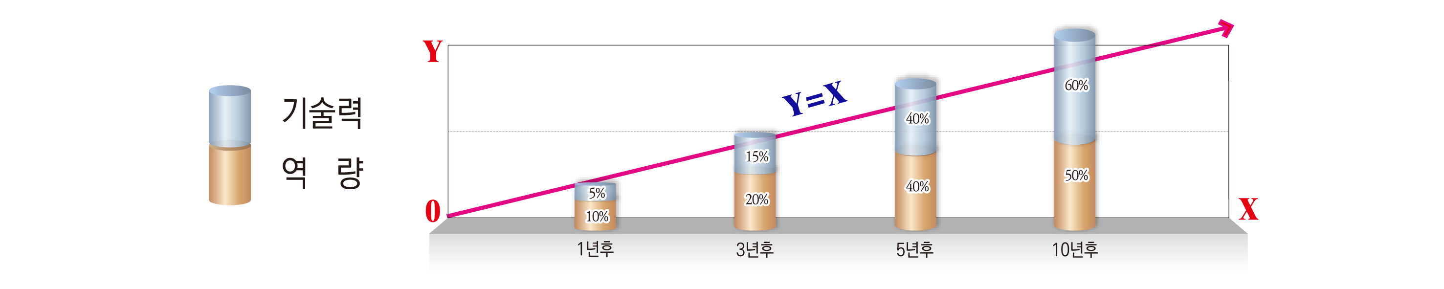 Y=X처럼